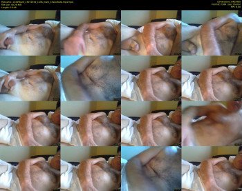 123456ant
