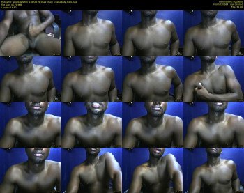 apollodarkmn