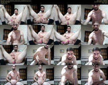 art_ass