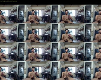 funnyhornybunny