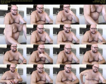 italian_bear