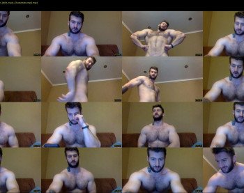 panda_muscle