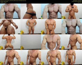 promuscles4u