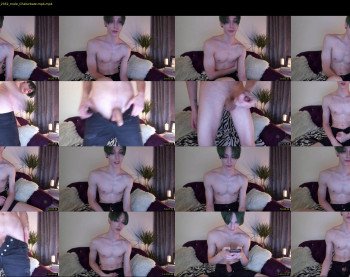 domenik_gun