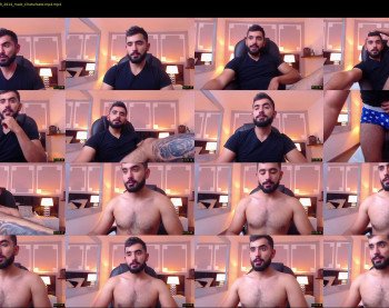 hornybull4ever