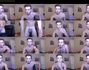 sexual_vibrations