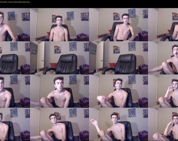 sexual_vibrations