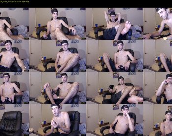 sexual_vibrations