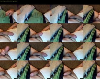 tazerhardwood21