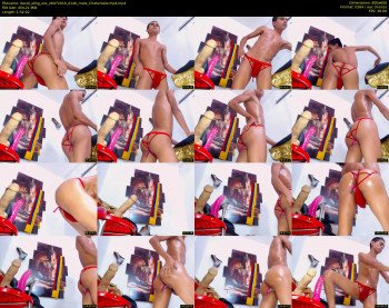 david_sting_xxx