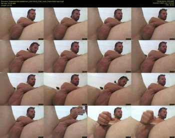 hawaiipervfortab00mom