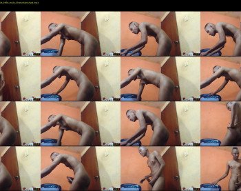 monsterdick26x