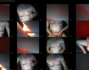 rosenrot116