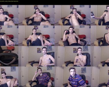 sexual_vibrations