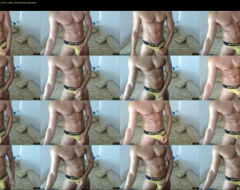 sportybigcock