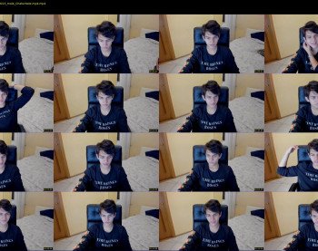 sam_reason