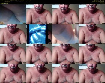 tbear66