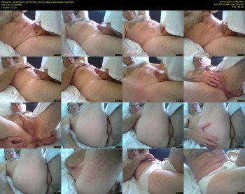 123456ant
