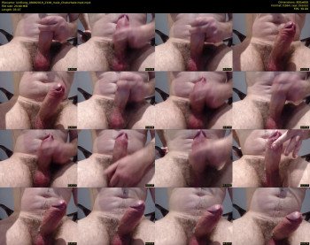 lordlusty