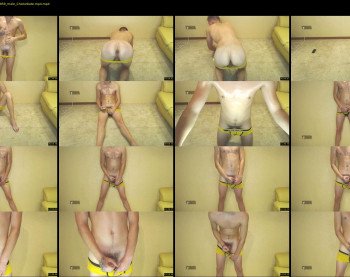 papimodels