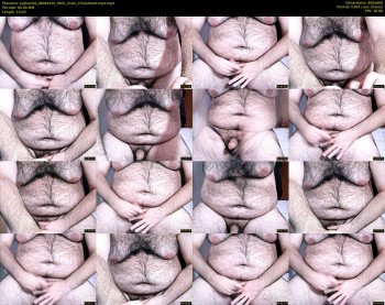 pighair44