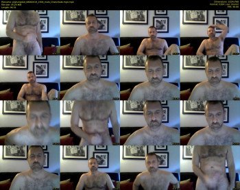pighungdad
