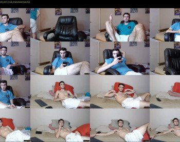 sexual_vibrations