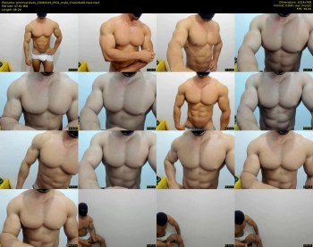 promuscles4u