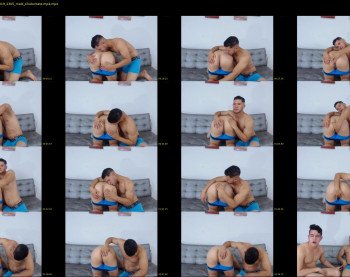 savage_studs