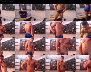 teddyfit19cm