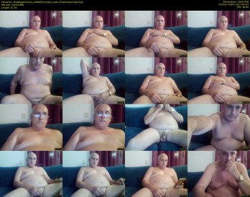 chubbygainertoni