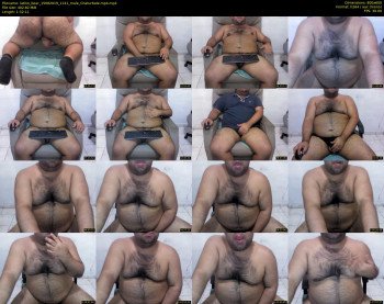 latino_bear