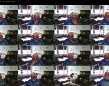 oldhollandi