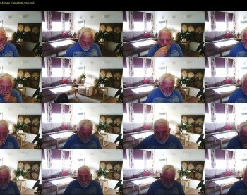 oldhollandi