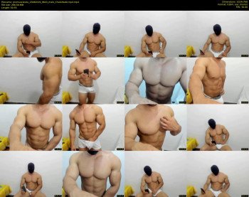 promuscles4u