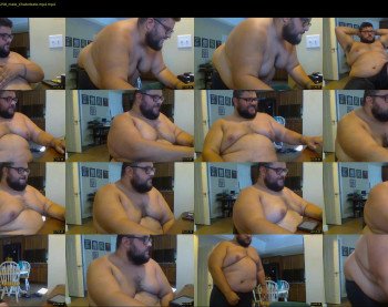 bearbellybg
