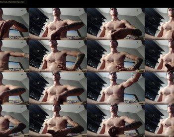 domi_nator