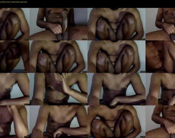 horsedick9905