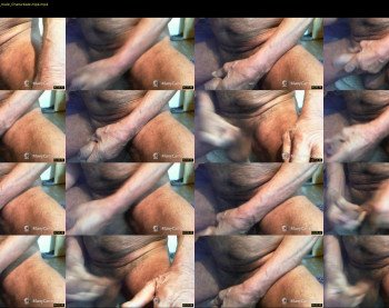 regolo7