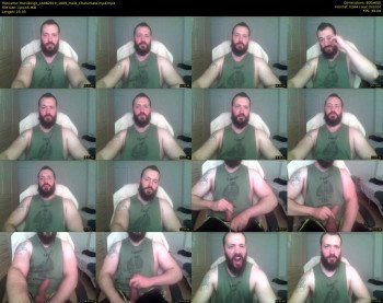 thevikingo