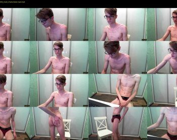 webdolphin