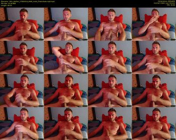 10in_stallion