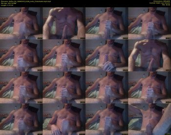 dalfox_94