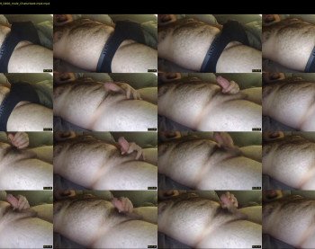 bearcum55744