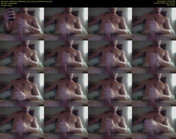 dalfox_94