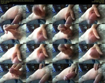 mature_uk_bull