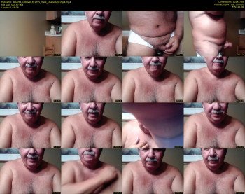 tbear66