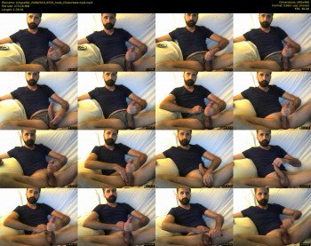 kingcat82
