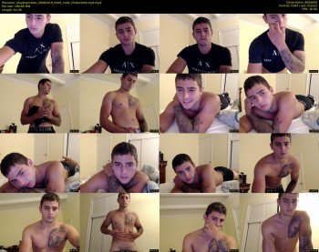 playboymateo