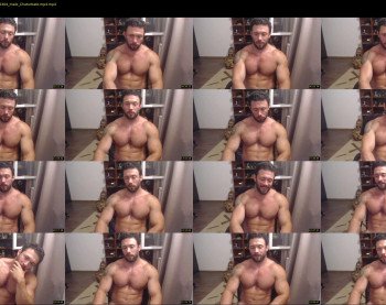 stevebulkzor